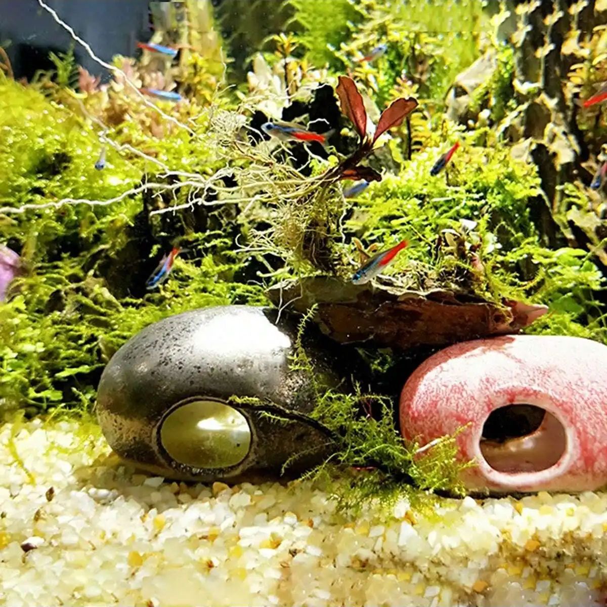 1pc-250 グラム天然結晶砂利石マイクロ風景庭水族館の装 - Aquarium Marine Sand のレビューと価格