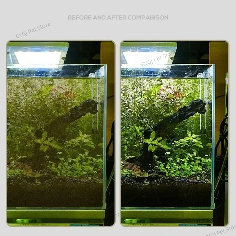 水槽クリーニングツールフラット砂藻類除去デュアルユースガラス - Aquarium Marine Sand のレビューと価格