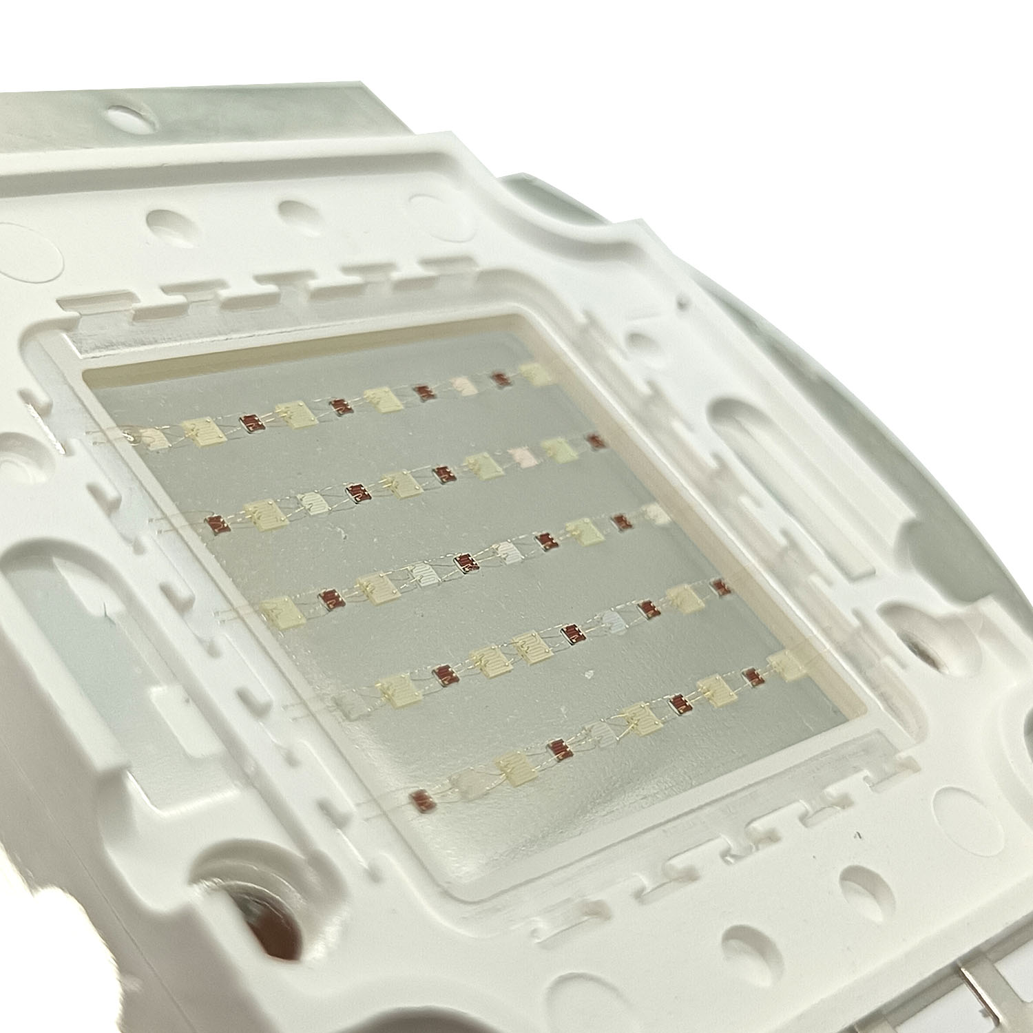 50W 60W 70W 100W RGB 26-28V ハイ - Aquarium Marine Color のレビューと価格