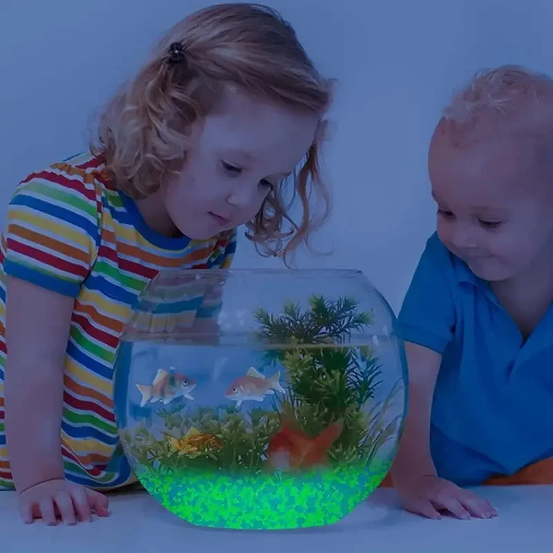 暗い小石の中で輝き、明るい砂岩、家の庭、庭、屋外の小道、芝生 - Aquarium Marine Sand のレビューと価格