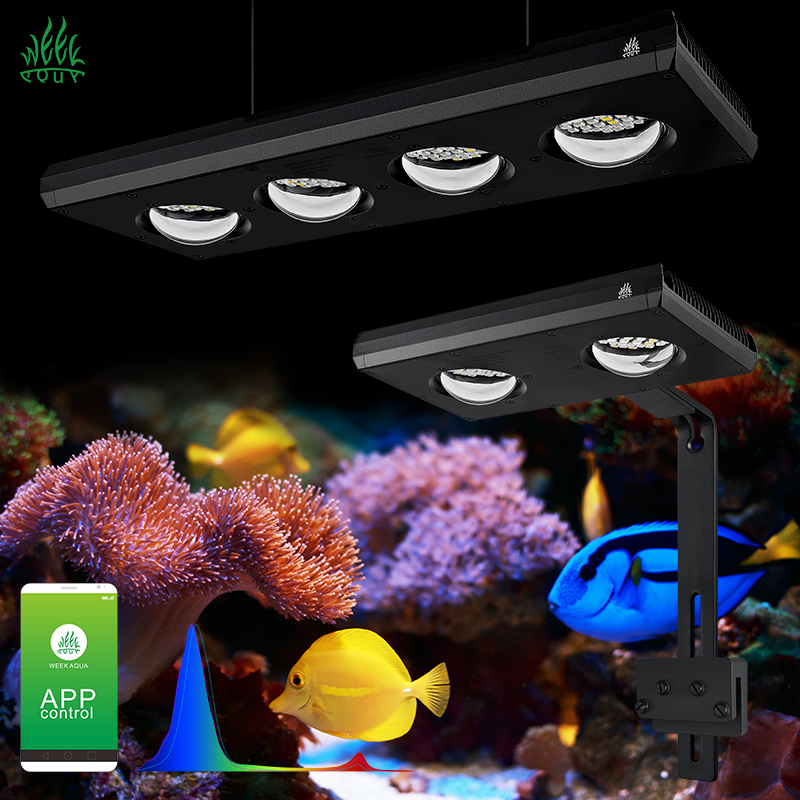 Week Aqua Z250Sea Z400Sea LED水 - Aqua Marine Tank のレビューと価格