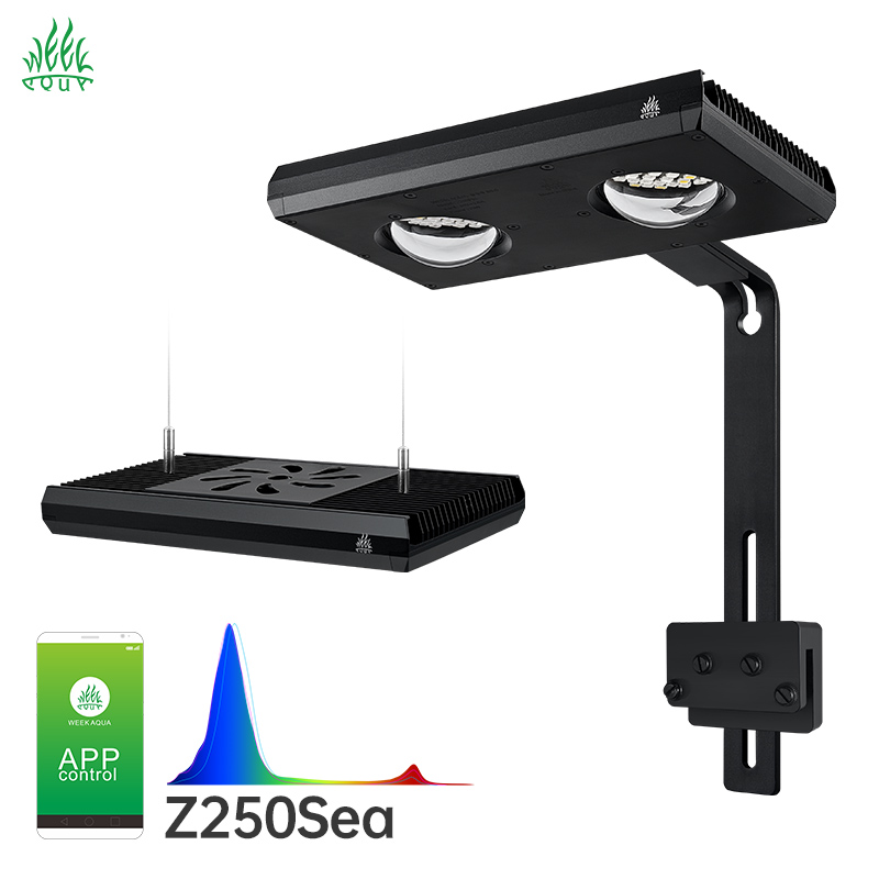 Week Aqua Z250Sea Z400Sea LED水 - Aqua Marine Tank のレビューと価格