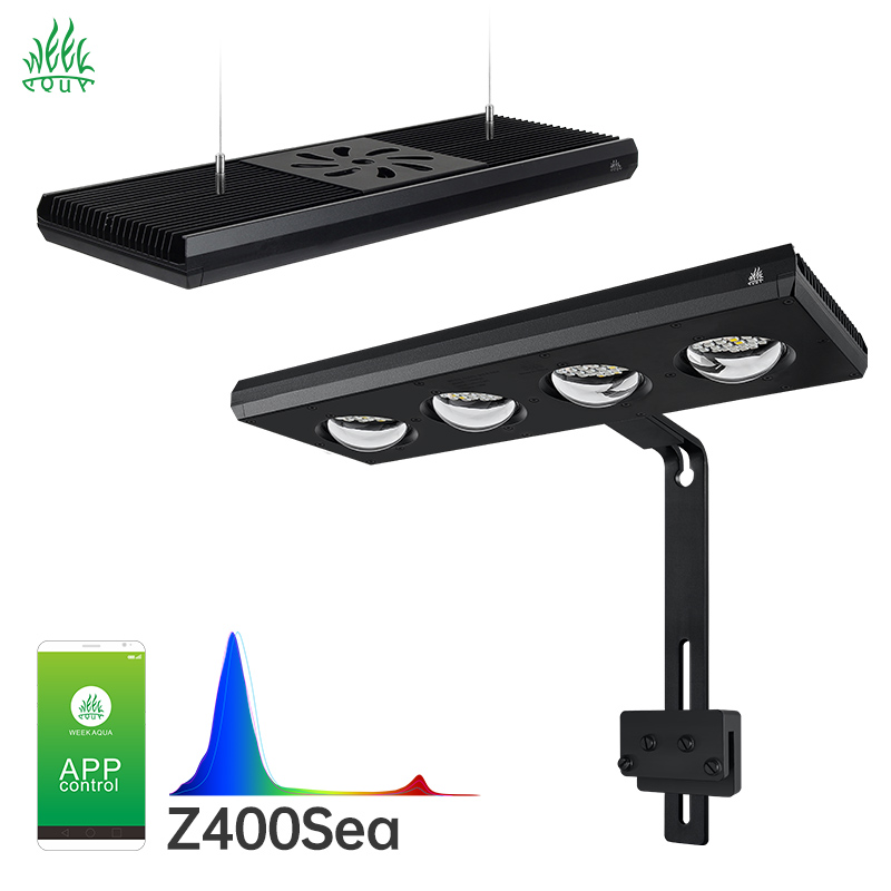 Week Aqua Z250Sea Z400Sea LED水 - Aqua Marine Tank のレビューと価格