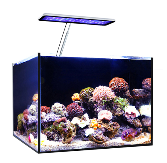 MicMol Aqua CC アクアリウムLEDライト フル - Aqua Marine Tank のレビューと価格