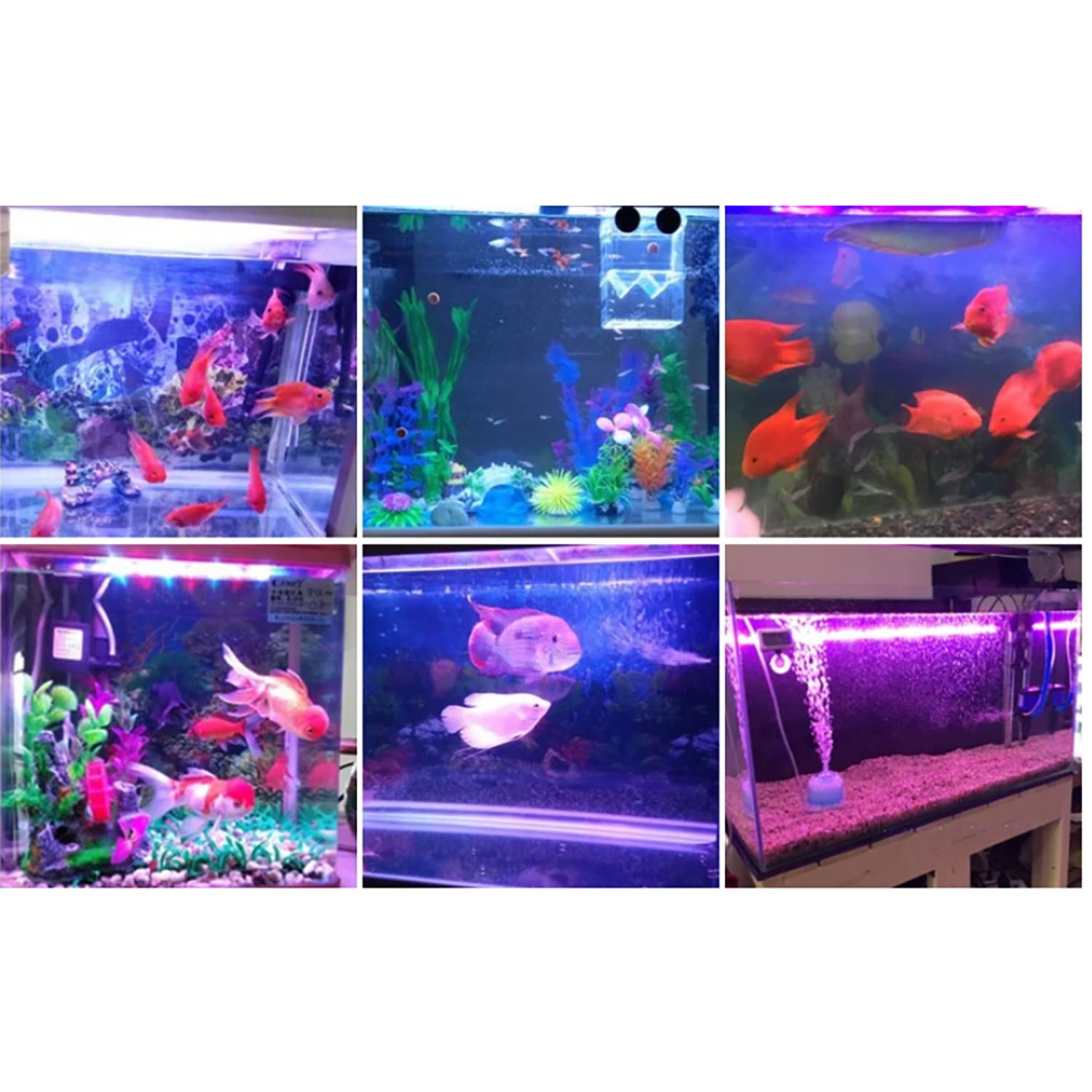 50W 60W 70W 100W RGB 26-28V ハイ - Aquarium Marine Color のレビューと価格