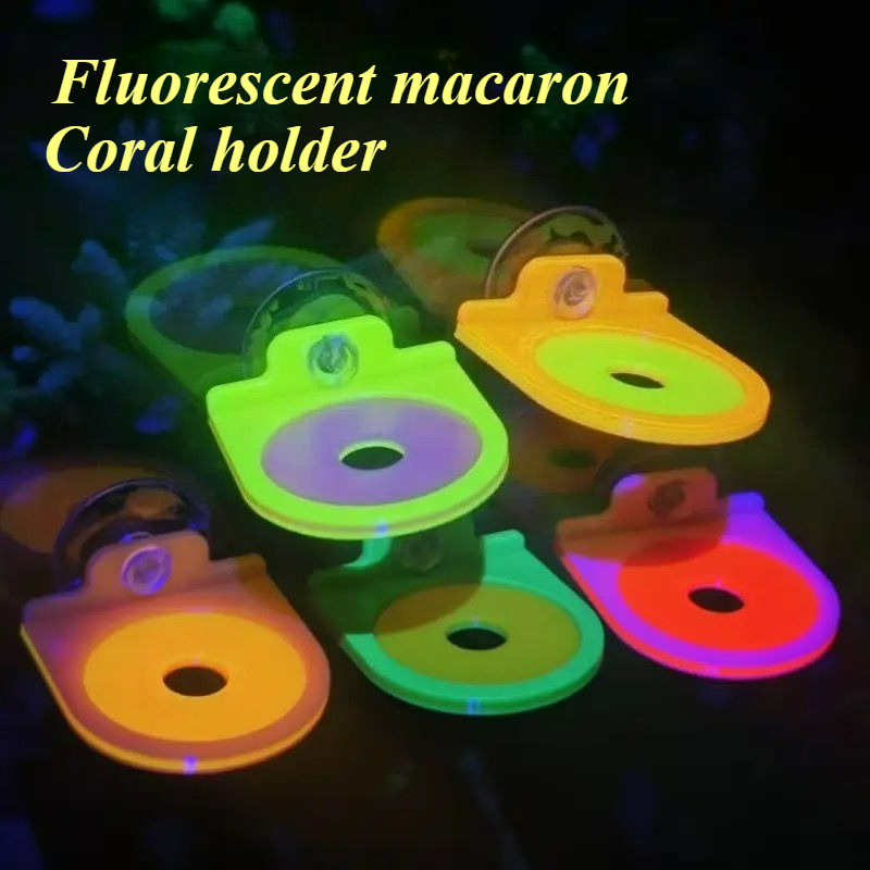 色ランダムサンゴフラグホルダーブラケット栽培ライブ SPS  - Aquarium Marine Color のレビューと価格