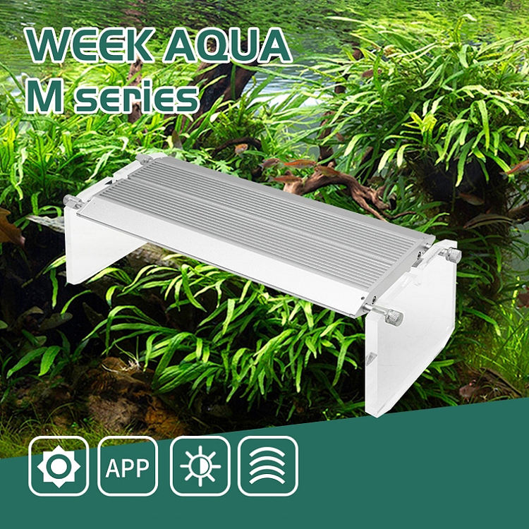 WEEK AQUA アクアリウム用LEDバイビッドライト（海 - Aqua Marine Tank のレビューと価格
