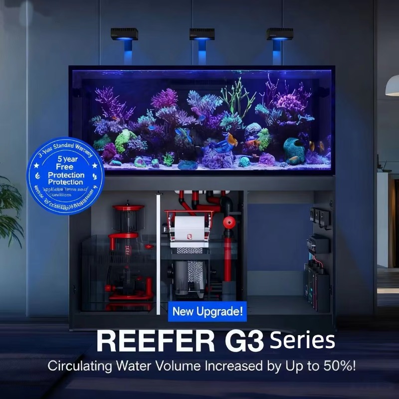 水槽アクセサリー 高品質リムレスカスタム大型150ガロンフル - Aquarium Marine Setup のレビューと価格