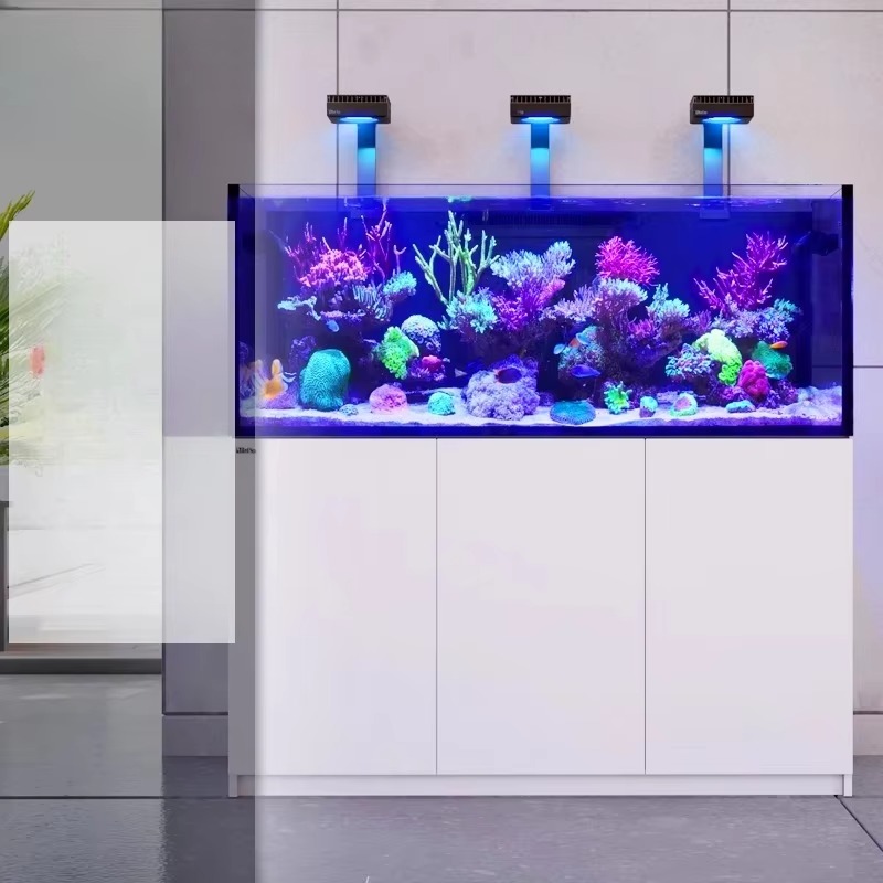 水槽アクセサリー 高品質リムレスカスタム大型150ガロンフル - Aquarium Marine Setup のレビューと価格